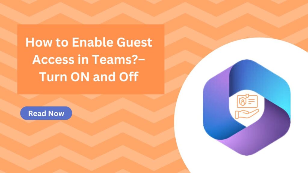 allow-guest-in-team